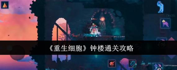 怎么登录已买重生细胞的账号