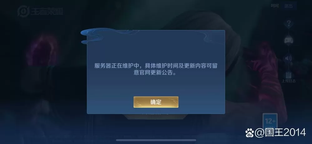 王者语音服务器显示未连接的解决方