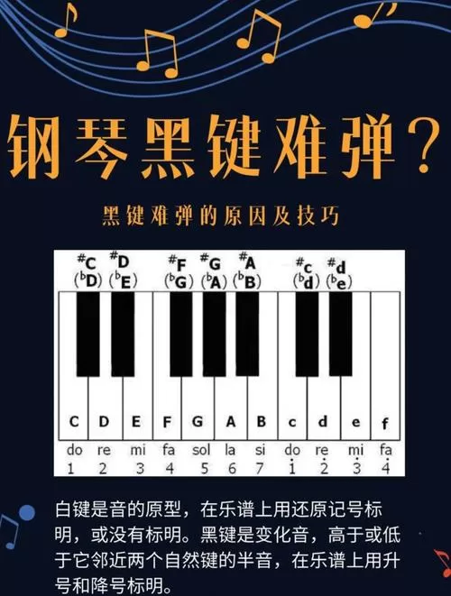 钢琴键盘为什么是黑色和白色