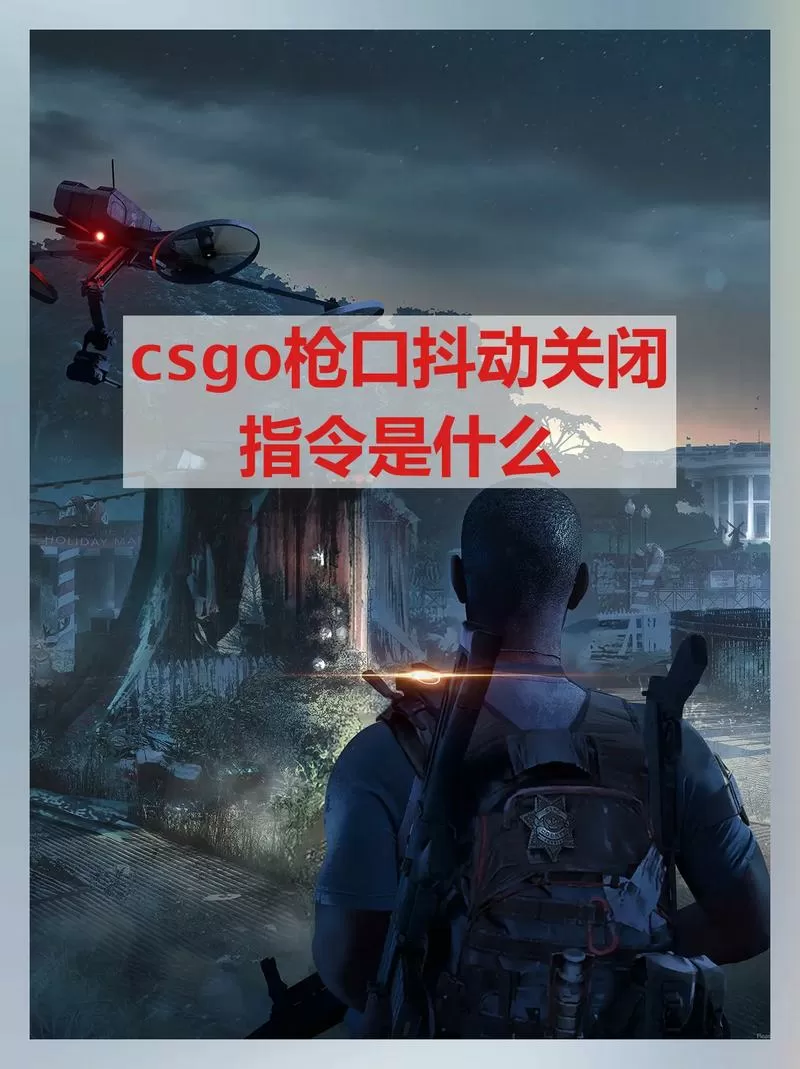 csgo枪口抖动怎么关