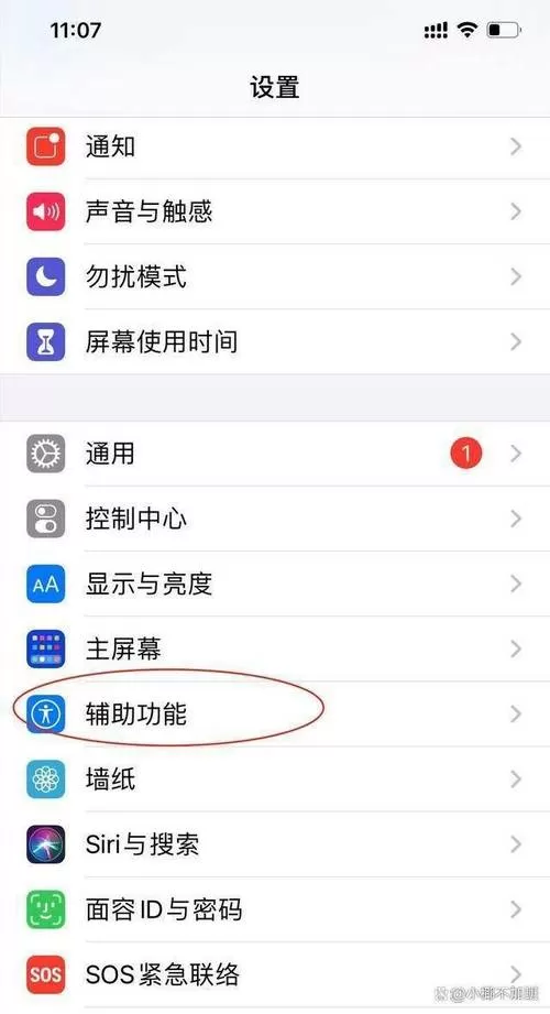 苹果悬浮球可以设置返回上一步吗
