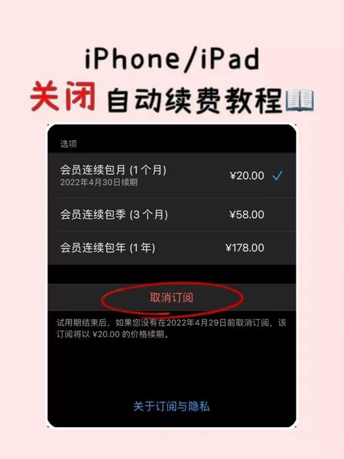 ipad自动续费怎么关闭