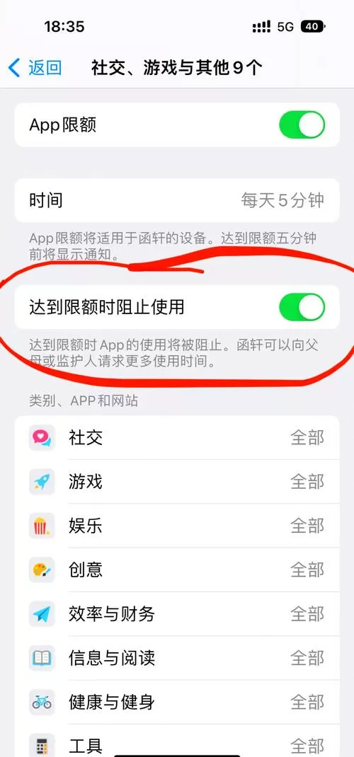 苹果手机设置儿童限制在哪里