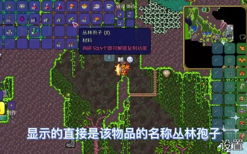 泰拉瑞亚丛林孢子