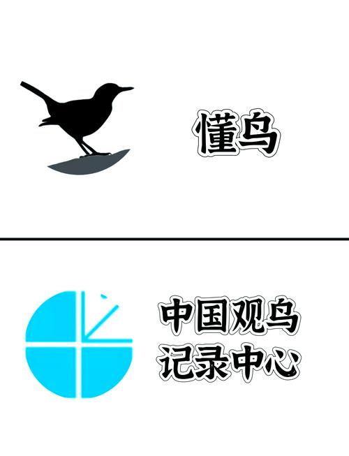 斑鸠吃黄豆需要泡水吗