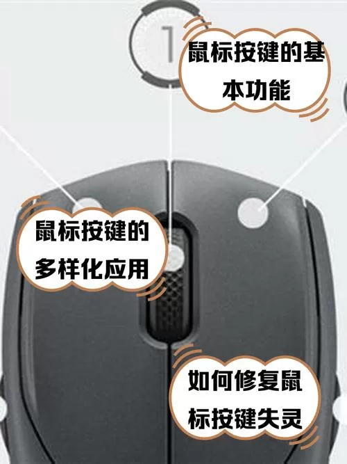 鼠标键1是哪个键