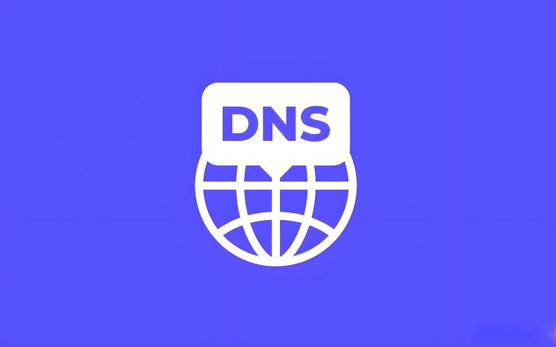 dns在线解析
