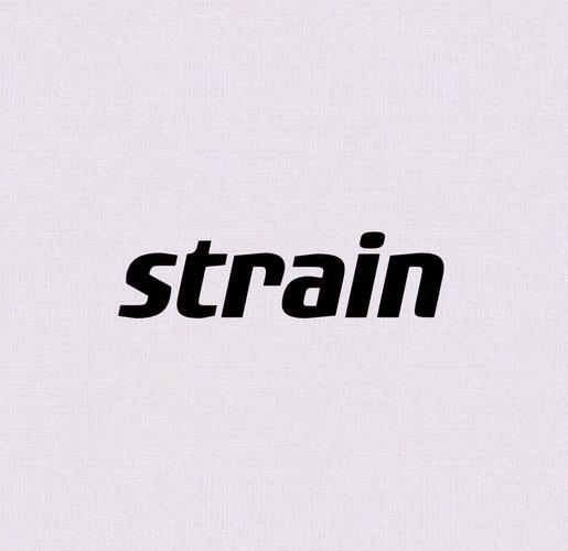 strain的用法与词组