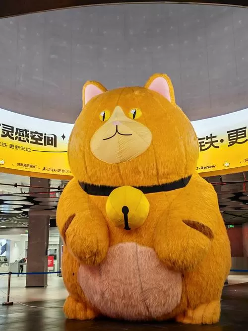 微博网红橘猫户外系列原版