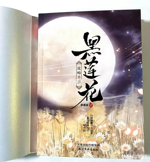 《黑莲花攻略手册》TXT