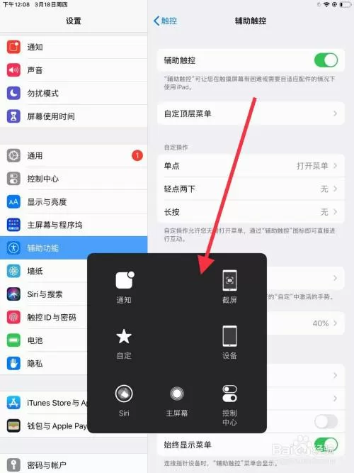 ipad小圆点怎么设置