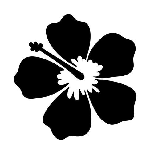 为什么黑色的花很少见