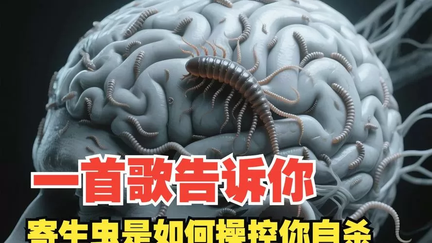 女人被寄生虫控制大脑并寄生他人