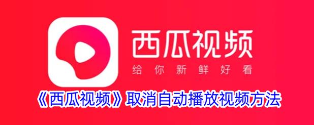 西瓜账号异常解除步骤