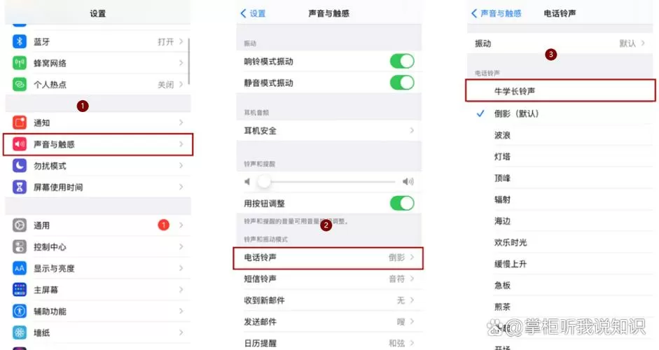 苹果13的闹钟铃声怎么调小