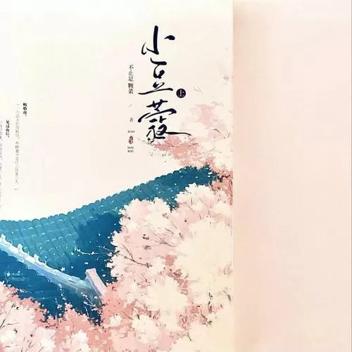 小豆蔻 小说
