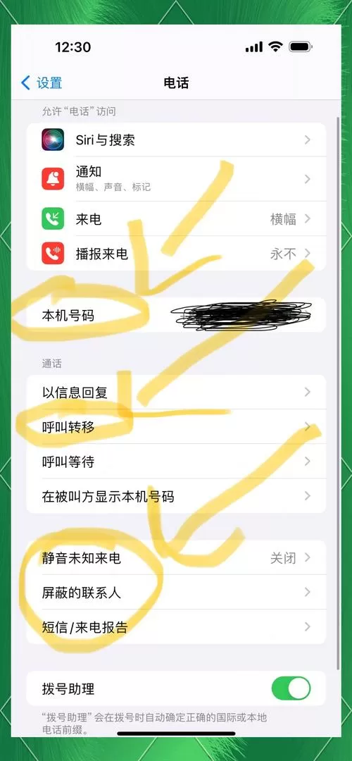 苹果手机别人打进来无法接通