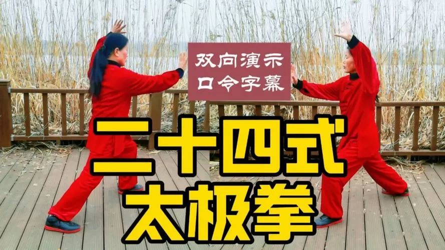 太极拳24式视频带口令下载