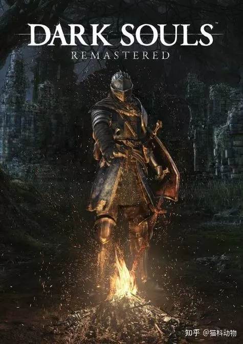 blacksouls1冷狐直装-blacksouls1(黑暗灵魂1)