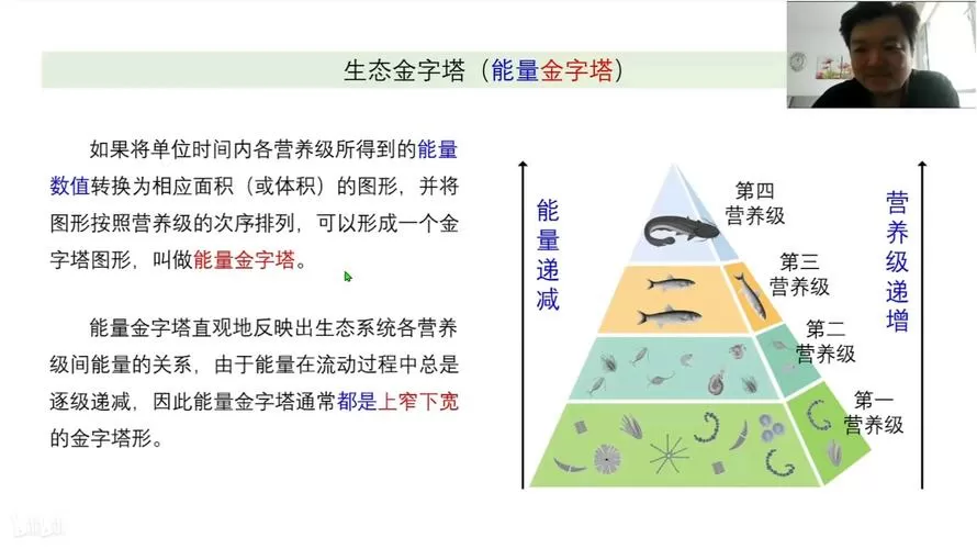生态系统总能量能否增加怎么判断