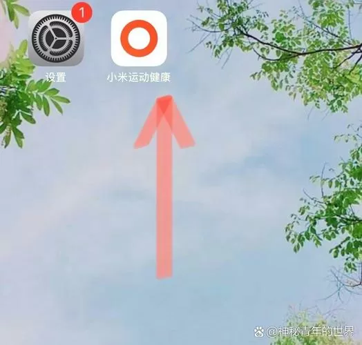 小米手环8表盘怎么换自己的照片