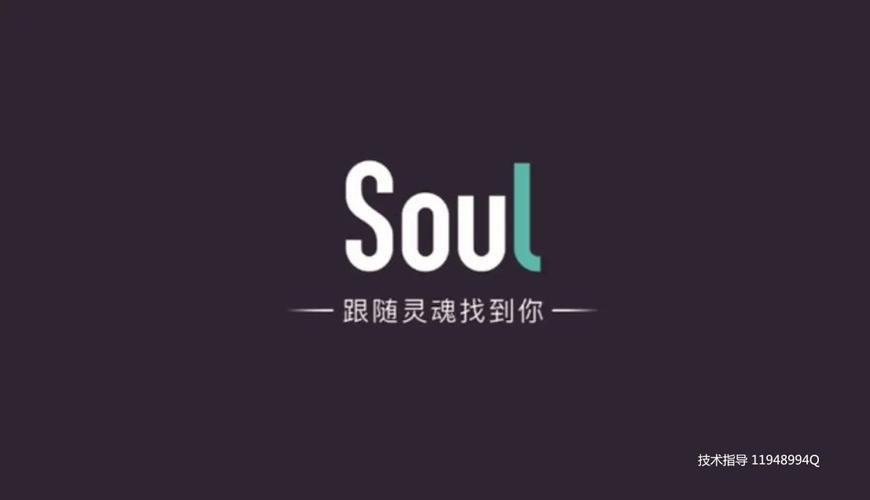 soul一打开就闪退截图