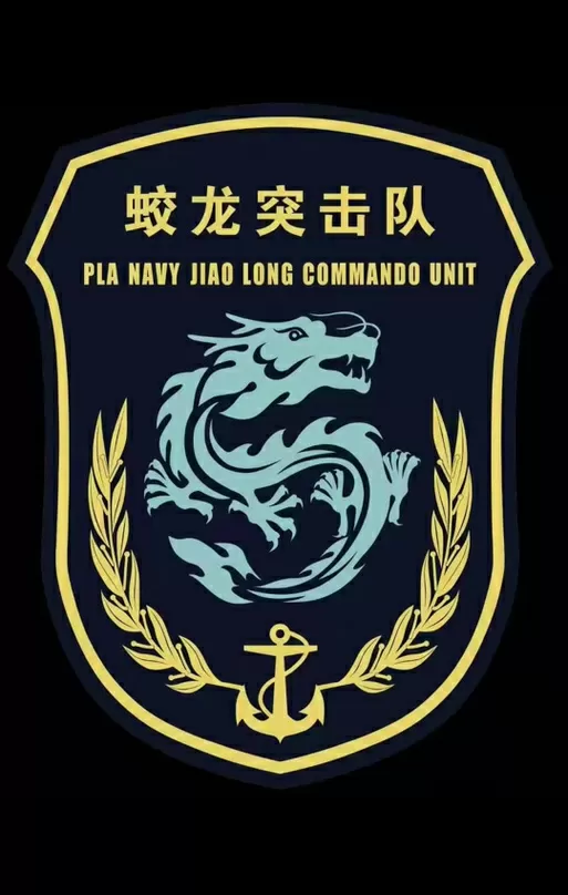 蛟龙特战队电影