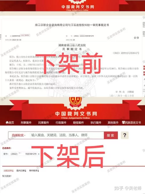企业被告记录能删除吗