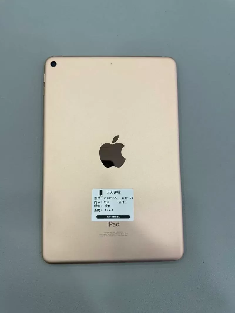 ipad mini5支持无线充电吗