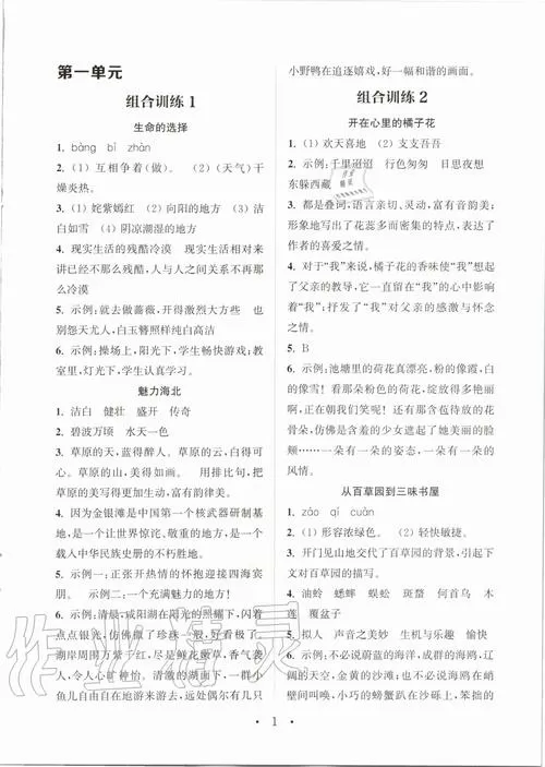 翠鸟的阅读答案全部