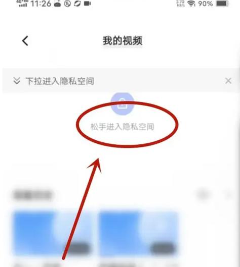 vivo浏览器隐私空间文件在哪里
