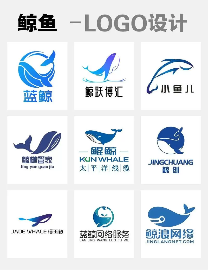 女生用鲸鱼起昵称