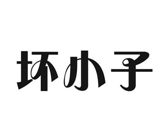 坏小子中文版在线看