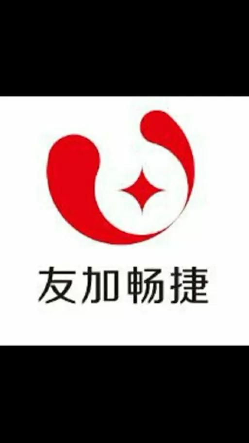 友加畅捷t1飞跃版教程
