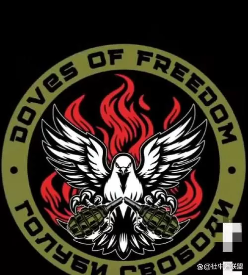firefight俄乌战争模组免费下载