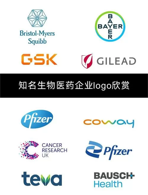 药物rs是什么意思