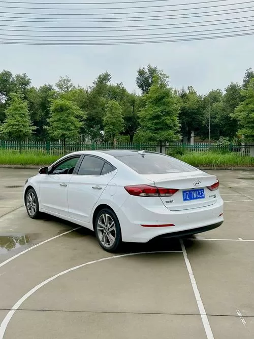 开领动一般什么档次人