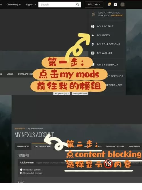 n网mod怎么安装