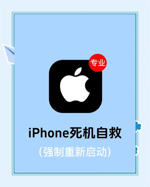 苹果12触屏失灵无法滑动关机