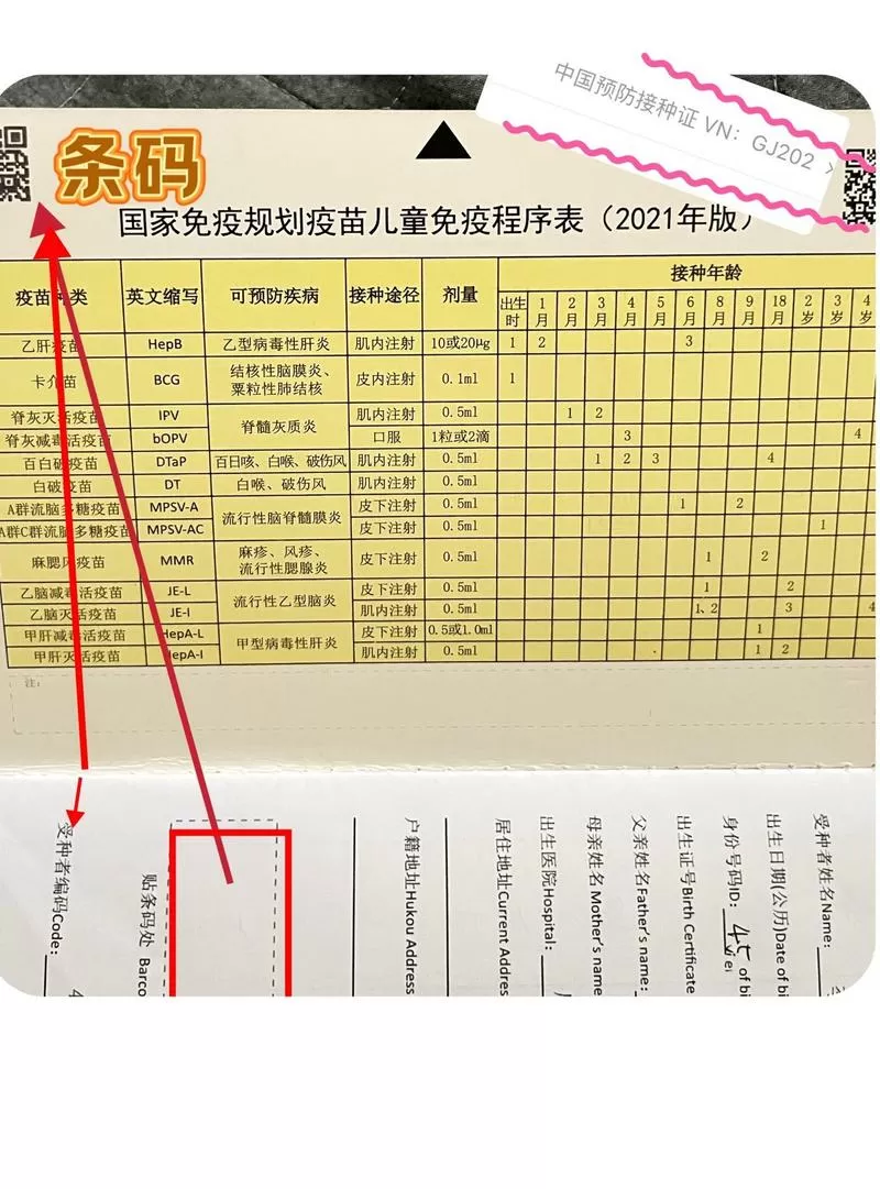 接种证编号在哪里查