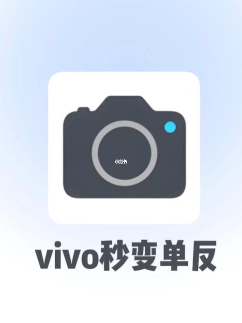 vivo相机设置高清截图