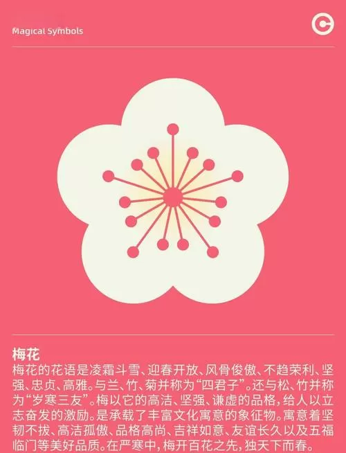 梅花视频旧版每天看