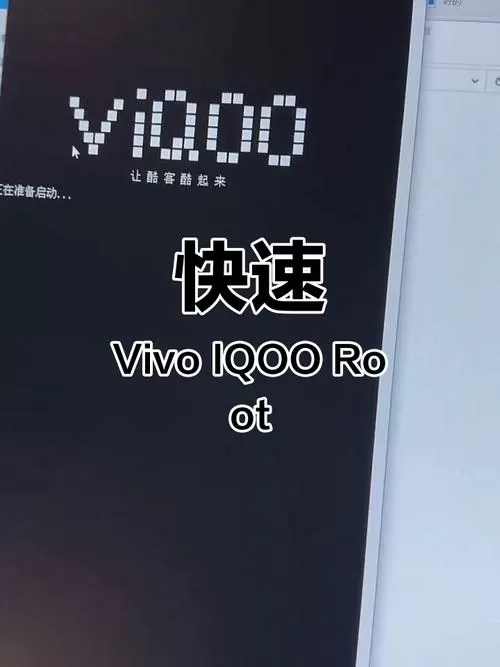 vivo解锁bl工具游戏截图