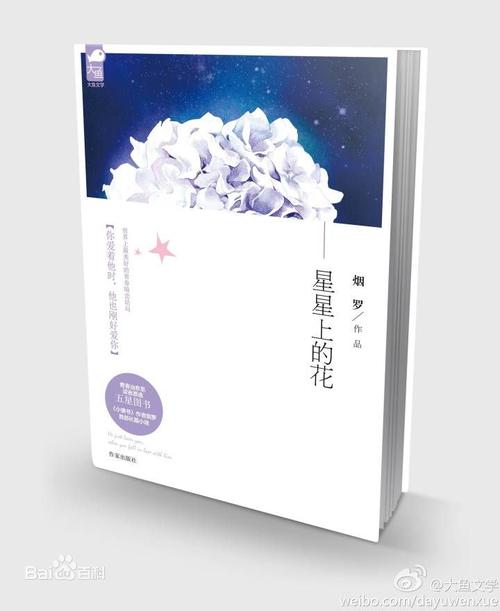 星星上的花纪念版番外