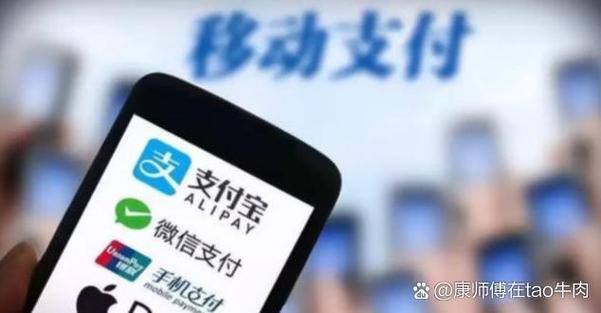 支付宝扫码闪退怎么回事截图