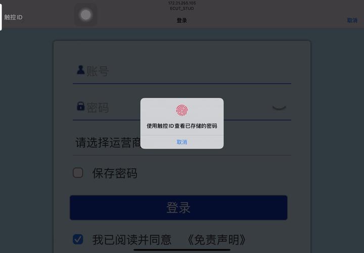 自动填充密码不弹出来