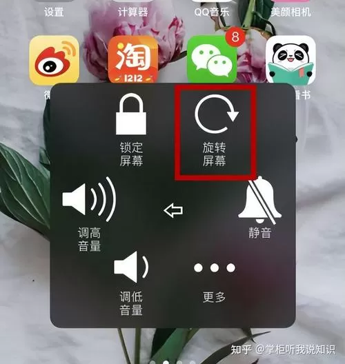 苹果11屏幕旋转在哪里设置