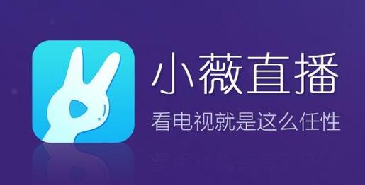 小薇直播电脑版