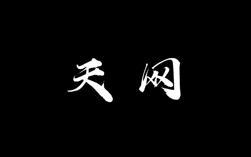 天网视频