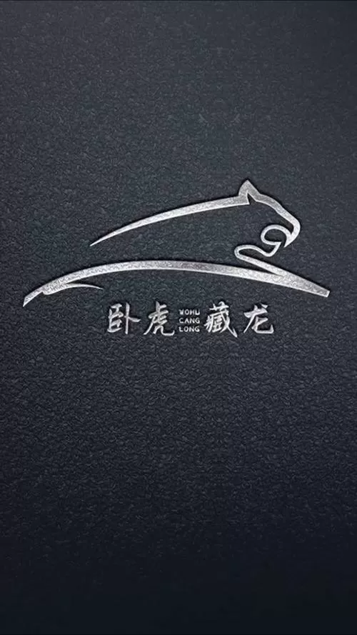 卧虎藏龙2攻略超详细版